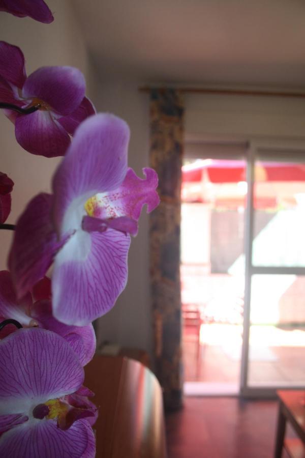 Apartamento Calle De La Cordera, 3 Torremolinos Eksteriør bilde